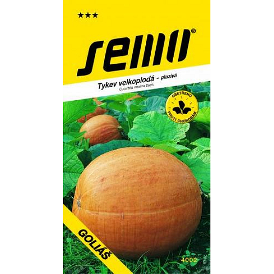 Semo Large-fruited Creeping Squash, for Canning Goliath 9 seeds