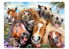 Prime3D postcard - Horses Selfie 16 x 12 cm