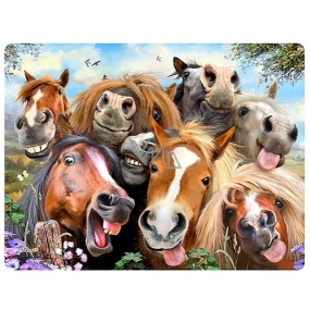 Prime3D postcard - Horses Selfie 16 x 12 cm