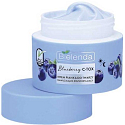 Bielenda Blueberry C-Tox Moisturizing and Illuminating Face Cream Foam Day/Night 40 g