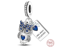 Charm Sterling silver 925 Clever Owl - reading, animal bracelet pendant