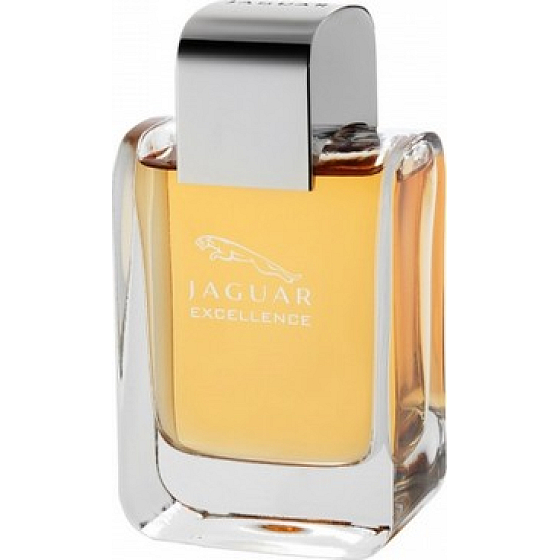 Jaguar Excellence Men eau de toilette 100 ml