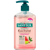 Sanytol Pink Grapefruit & Fresh Lemon Disinfectant Hand Soap for Kitchen 250 ml with Dispenser