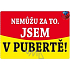 Nekupto Humorous Sign I am a teenager! 15x10 cm 1 piece