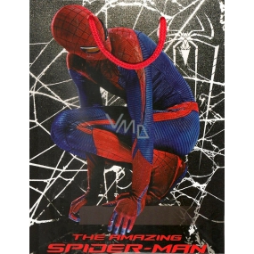 Ditipo Gift paper bag 23 x 9.8 x 17.5 cm Spiderman with spider web