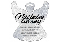 Albi Hanging plaque angel Follow your dreams 9 x 10 cm