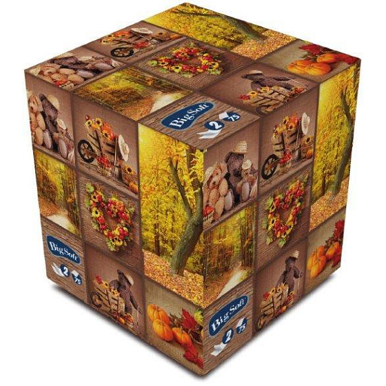 Big Soft Autumn paper handkerchiefs white 2 ply in a box of 75 pieces