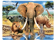 Prime3D postcard - Big Five 16 x 12 cm
