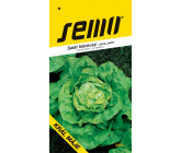 Semo Lettuce King of May - spring, field 0,4 g
