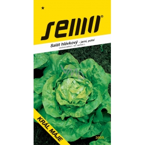Semo Lettuce King of May - spring, field 0,4 g