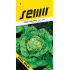 Semo Head Lettuce King of May - Spring, Field 0.4 g