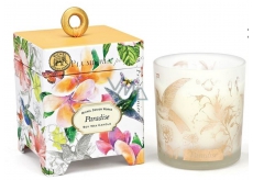 Michel Design Works Paradise Soy handmade scented candle in glass 184g