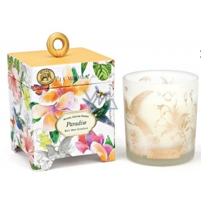 Michel Design Works Paradise Soy handmade scented candle in glass 184 g