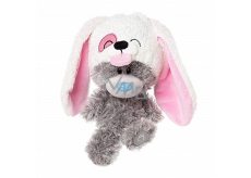 Dinky Bear - Doggie