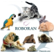 Roboran