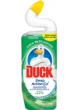 Duck 5in1 Pine Wc liquid cleaner 750 ml