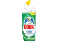 Duck 5in1 Pine Wc liquid cleaner 750 ml