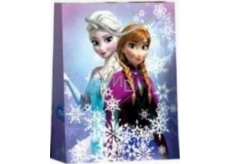 BSB Disney Dárková papírová taška dětská 32,4 x 26 x 12 cm Frozen DT L