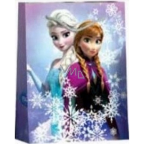 BSB Luxury gift paper bag 32.4 x 26 x 12 cm Frozen DT L