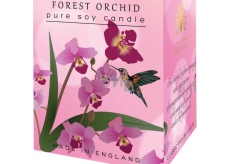 English Soap Forest Orchid Sojová vonná svíčka 170 ml, hoří až 35 hodin