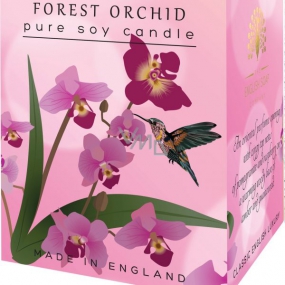 English Soap Forest Orchid soy scented candle 170 ml, burns for up to 35 hours