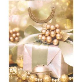 Albi Gift paper small bag 13.5 x 11 x 6 cm Christmas TS4 84499