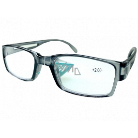 Berkeley Reading glasses +2 plastic gray transparent 1 piece MC2206