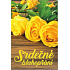 Nekupto General greeting card Cordial greeting 115 x 170 mm