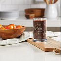 Yankee Candle Praline & Birch - Praline and birch scented candle Signature Tumbler large glass 2 wicks 567 g