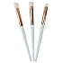 Cosmetic Brush Set with Synthetic Bristles, Set of 3 Pieces