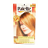 Schwarzkopf Palette Deluxe Nourishing 7 Oils Hair Color 455 Bright Golden Cinnamon