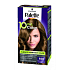 Schwarzkopf Palette 10 minutes Color hair color 650 Light golden brown