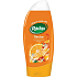 Radox Revive Tangerine and lemon grass shower gel 250 ml