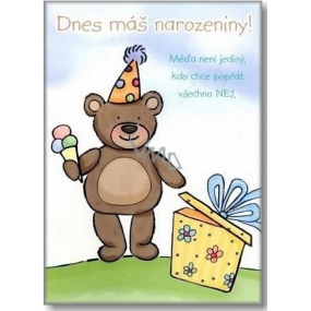 Ditipo Playing cards Today is your birthday Stanislav Hložek Méďa Béďa 224 x 157 mm