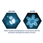 Masaru Emoto Alladin Family Carafe Gold Flower of Life 2.3 l To revitalize and revitalize weakened tap water