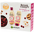 Garnier Botanic Therapy Ricinus Oil & Almond shampoo for weak hair with a tendency to fall out 250 ml + hair balm 200 ml, cosmetic set