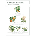 Panier des Sens Orange Flower Shower Gel 50 ml + Body Lotion 50 ml + Eau de Toilette 3.5 ml + Hand Cream 30 ml, Travel Gift Set