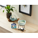 Yankee Candle Coconut Splash - Coconut Refreshment Scented Wax Melt for Aroma Lamps 22 g