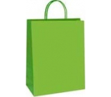 Ditipo Gift paper bag 18 x 8 x 24 cm ECO Green