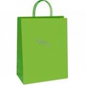 Ditipo Gift paper bag 18 x 8 x 24 cm ECO Green