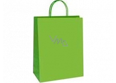 Ditipo Gift paper bag 18 x 8 x 24 cm ECO Green