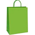 Ditipo Gift paper bag 18 x 8 x 24 cm ECO Green