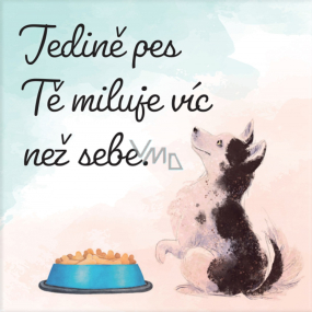 Albi Magnets Only the dog loves you more than himself 6,5 x 6,5 cm