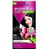 Schwarzkopf Essential Color Long Lasting Hair Color 290 Black