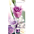 Nekupto Greeting Card For an exceptional woman
