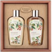 Bohemia Gifts Caffeine shower gel 250 m + shampoo 250 ml, cosmetic set