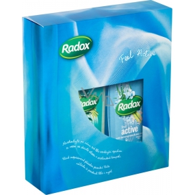 Radox Feel Active shower gel 250 ml + Stress Relief bath foam 500 ml, cosmetic set