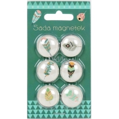 Albi Set of Feather Magnets 6 pieces