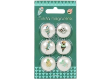 Albi Set of Feather Magnets 6 pieces