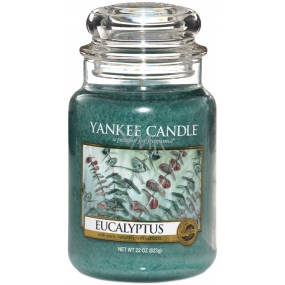 Yankee Candle Eucalyptus - Eucalyptus scented candle Classic large glass 623 g